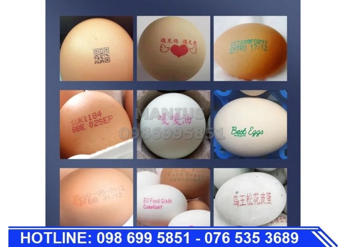 Máy in date lên trứng mini