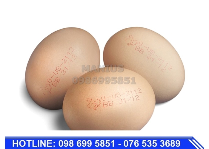 Máy in phun liên tục lên trứng CIJ Z5000 EGGS
