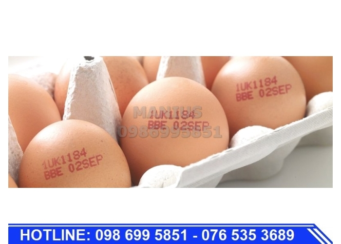 Máy in phun liên tục lên trứng CIJ Z5000 EGGS